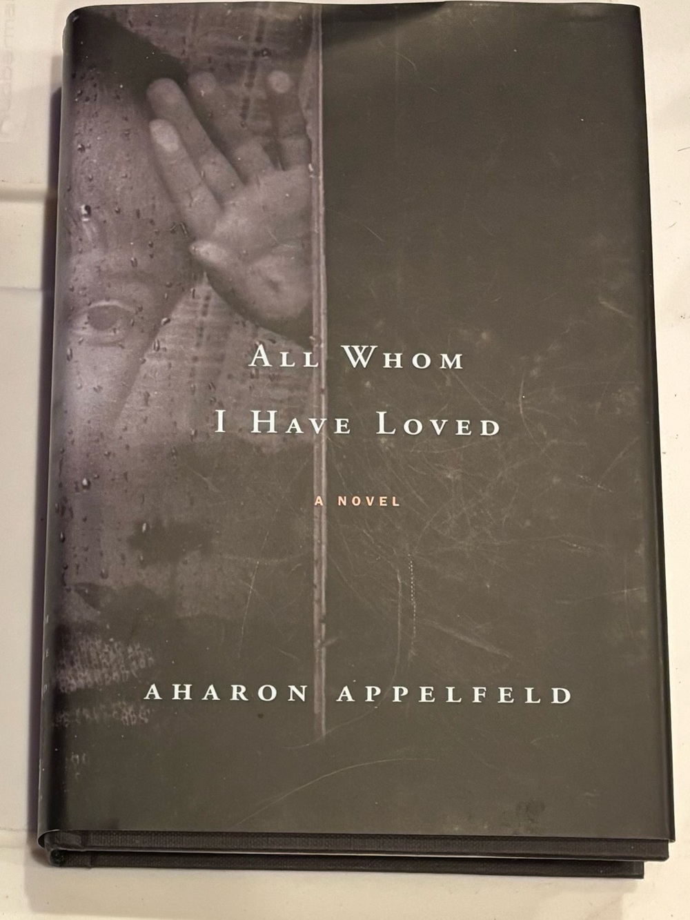 All Whom I Have Loved by Aharon Appelfeld (2007, Hardcover) English